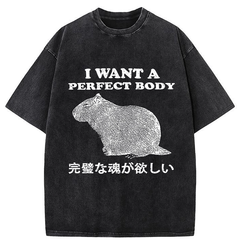 Modecanvas I Want A Perfect Body Washed T-Shirt
