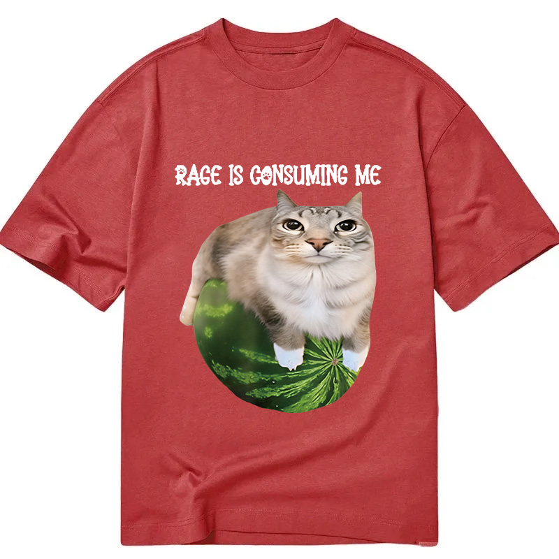 Modecanvas Rage Is Consuming Me Cat Meme DTG Printing Classic T-Shirt-modecanvas