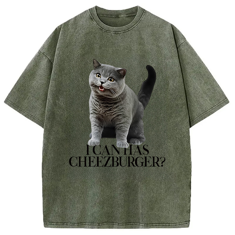 Modecanvas I Can Has Cheezburger Washed T-Shirt