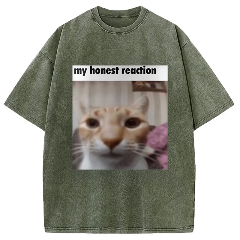 Modecanvas My Honest Reaction Cat Meme Washed T-Shirt