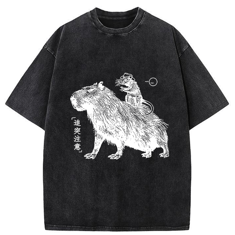 Modecanvas Mouse Riding A Capybara Washed T-Shirt