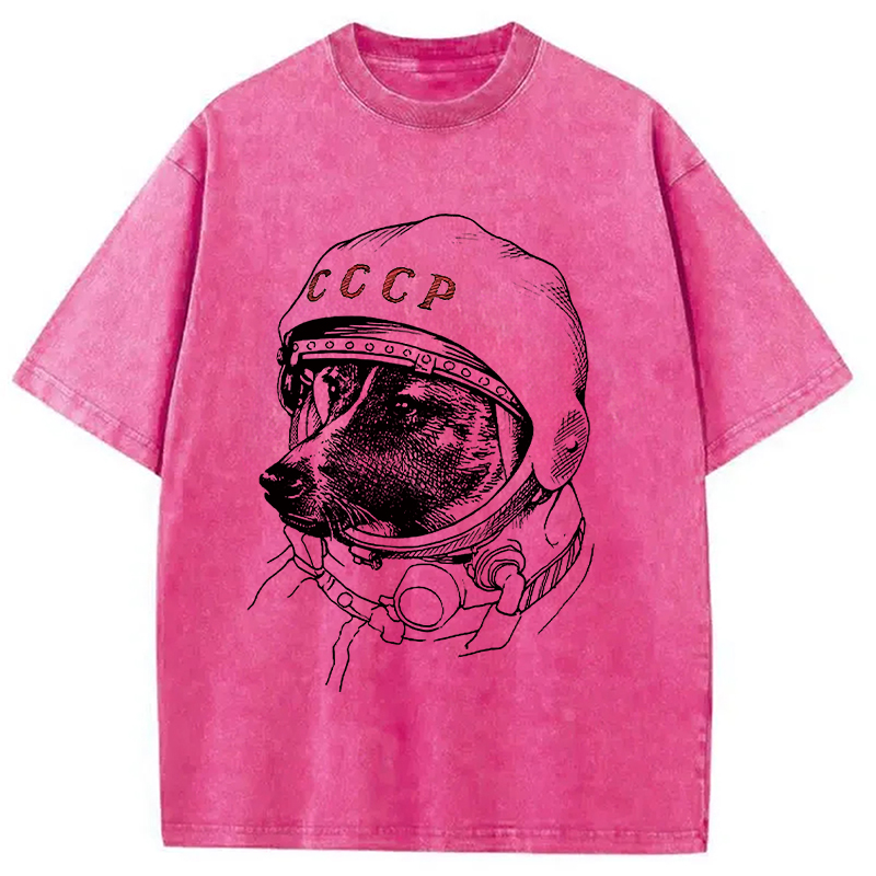 Modecanvas Astro Dog Washed T-Shirt