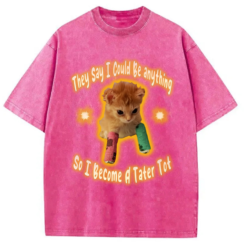 Modecanvas Tater Tot Cat Funny Meme Washed T-Shirt