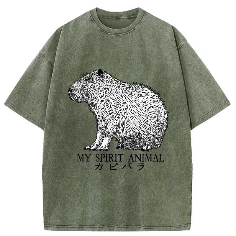 Modecanvas Capybara Spirit Washed T-Shirt