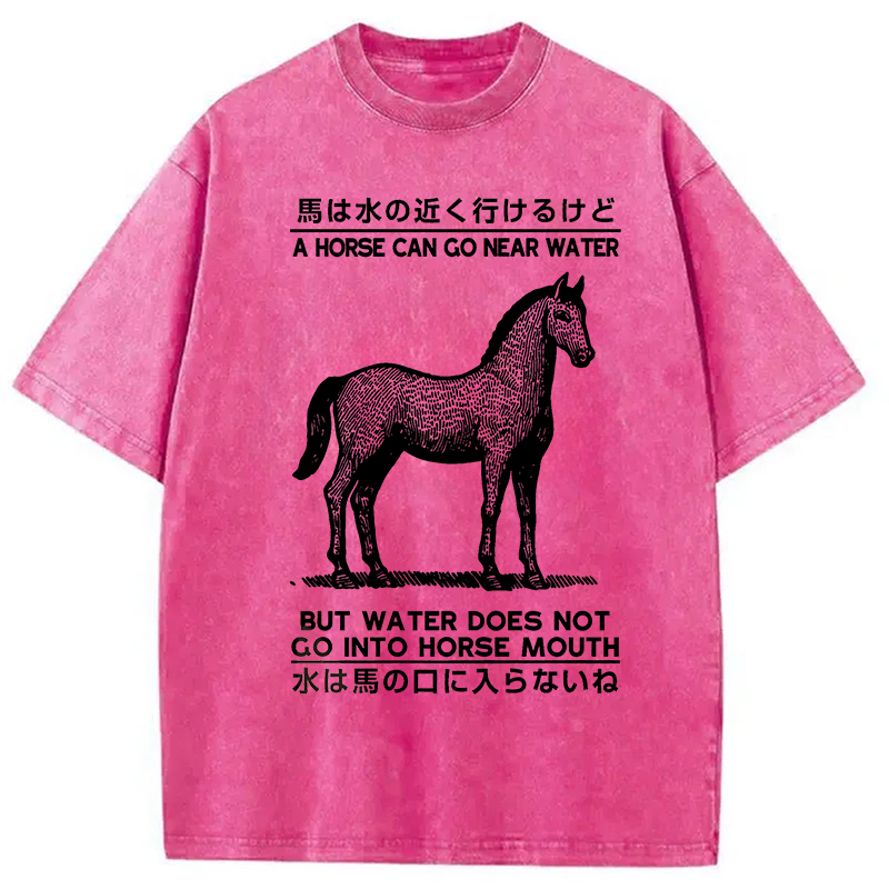 Modecanvas Funny Horse And Water Saying Washed T-Shirt