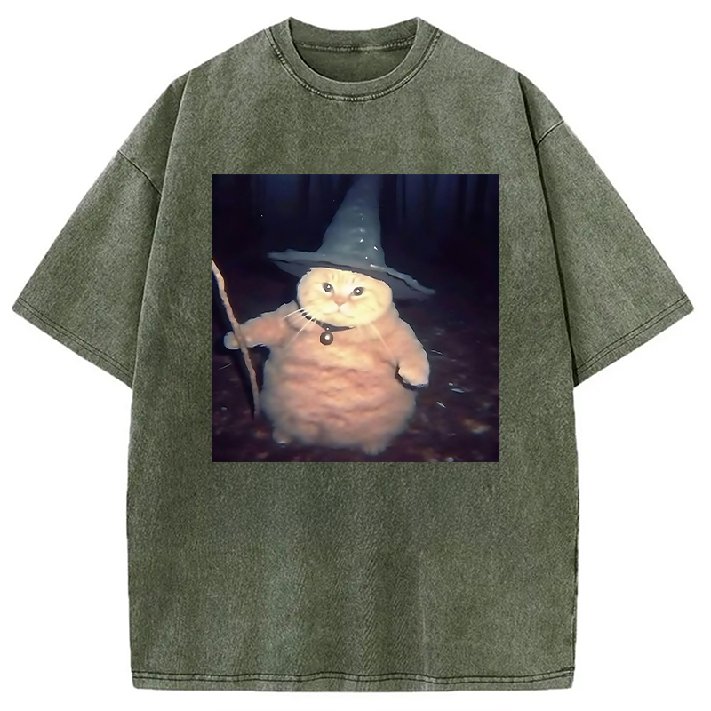 Modecanvas Wizard Cat Funny Halloween Washed T-Shirt-modecanvas