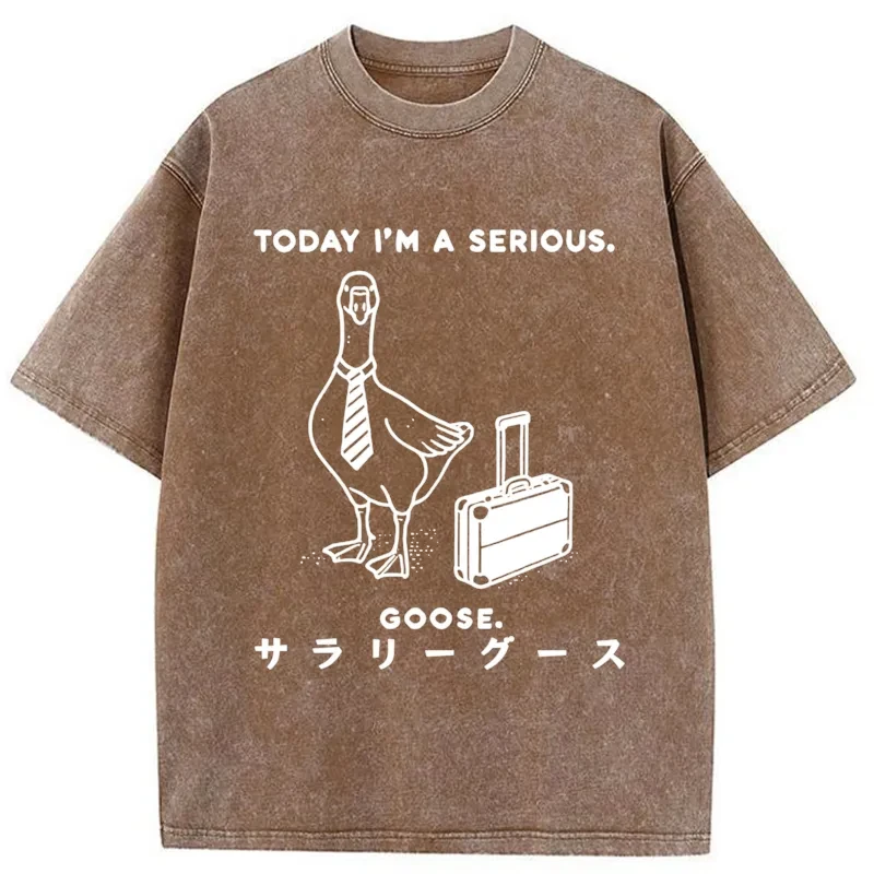 Modecanvas Hard Working Goose Washed T-Shirt