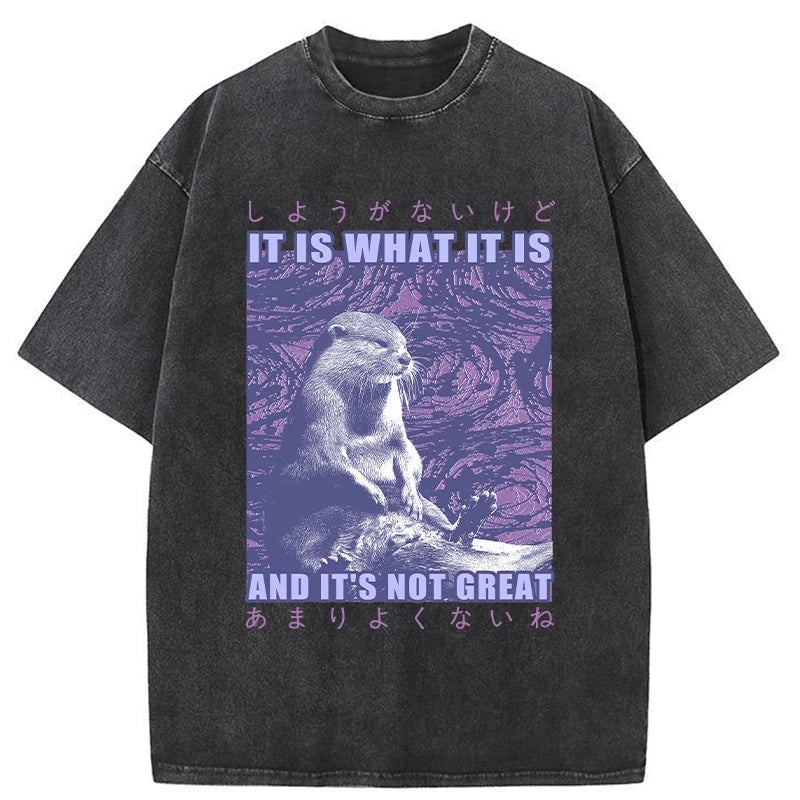Modecanvas Frustrated Otter Japanese Washed T-Shirt