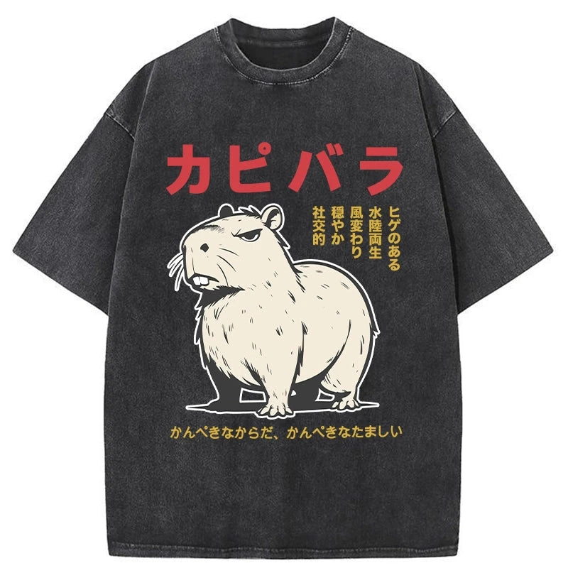 Modecanvas Angry Capybara Japan Washed T-Shirt