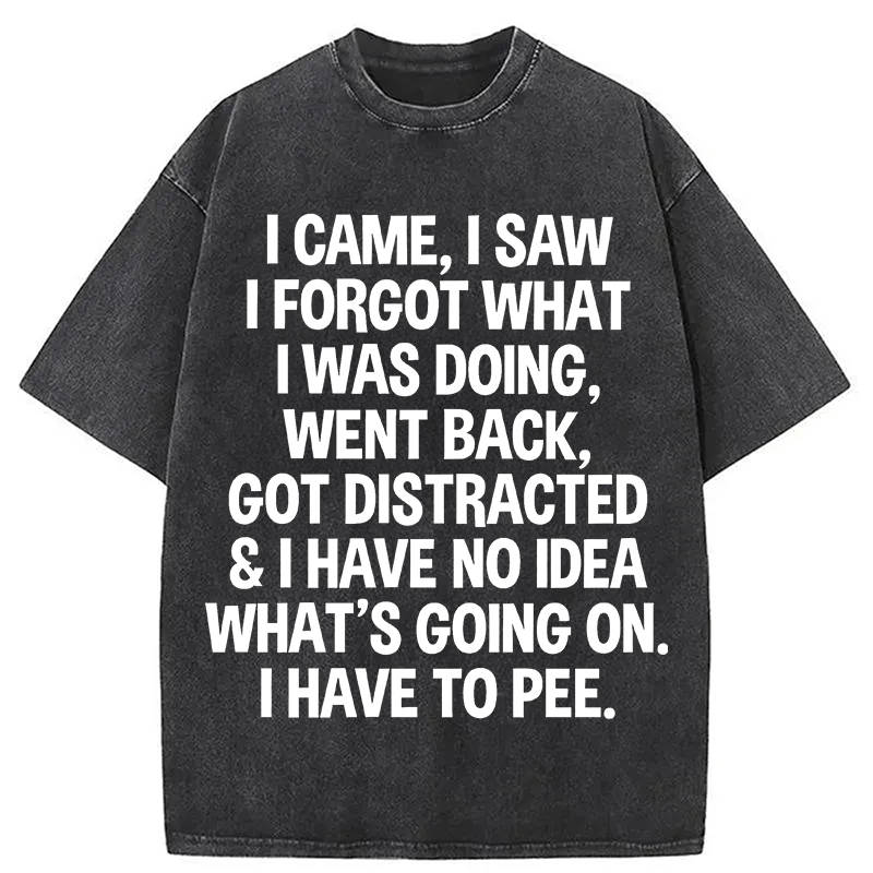 Modecanvas I Came I Saw I Forgot What I Was Doing DTG Printing Washed T-Shirt