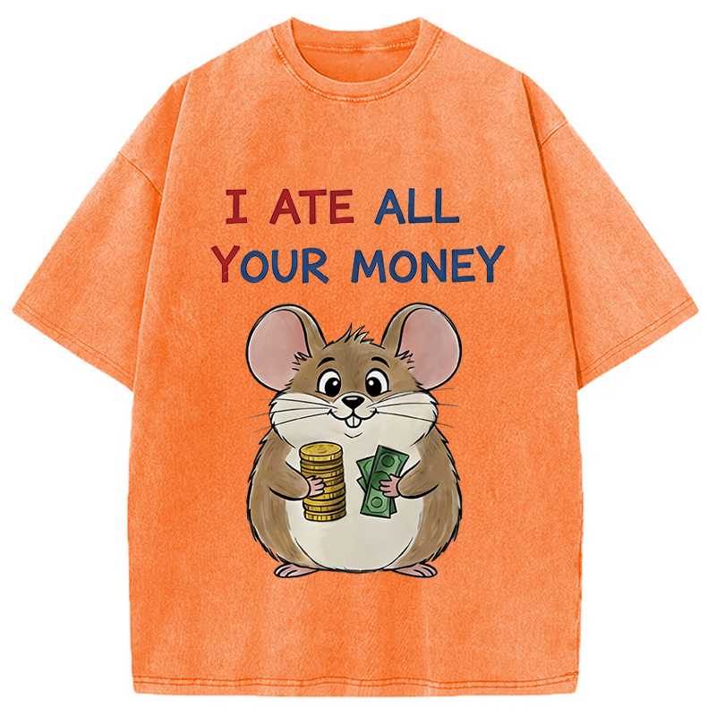 Modecanvas I Ate All Your Money Meme DTG Printing Washed T-Shirt-modecanvas