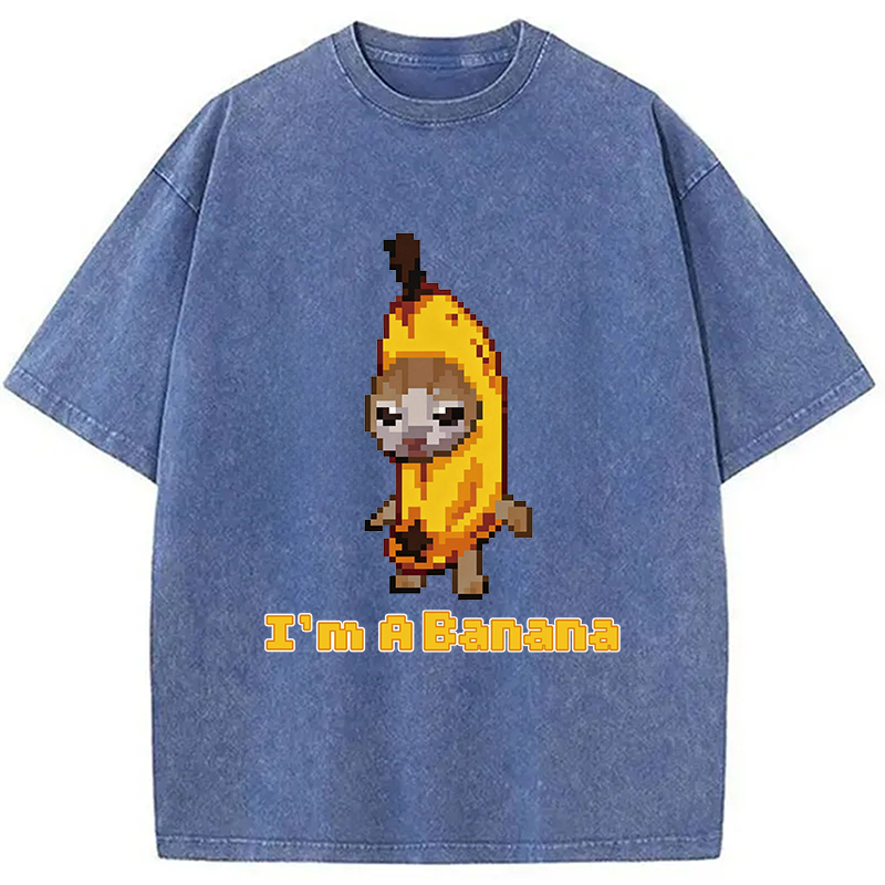 Modecanvas Banana Cat DTG Printing Washed T-Shirt