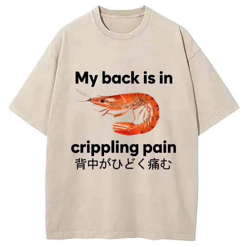 Modecanvas My Back Is in Crippling Pain Washed T-Shirt-modecanvas