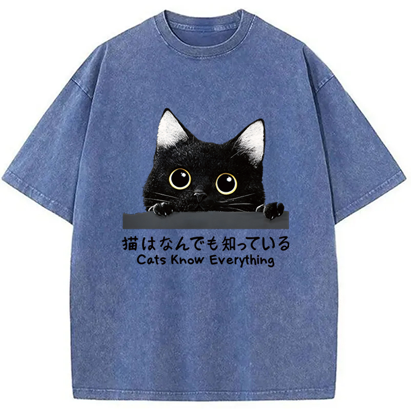 Modecanvas Cats Know Everything DTG Printing Washed T-Shirt-modecanvas