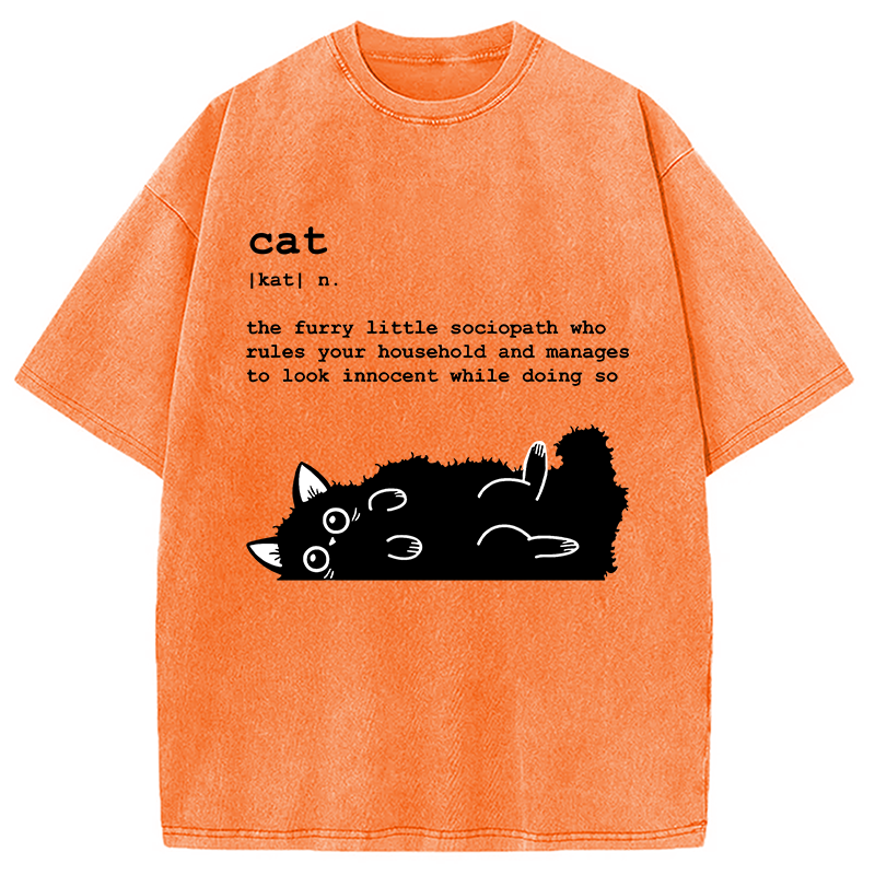 Modecanvas Definition Of Cat Funny Washed T-Shirt