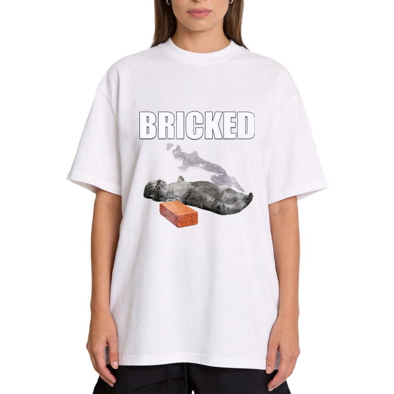 Modecanvas Bricked Funny Cat Knocked Out DTG Printing Classic T-Shirt-modecanvas