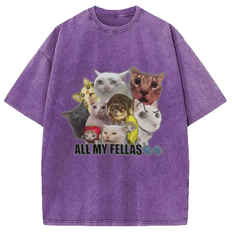 Modecanvas All My Fellas Internet Cats Meme Washed T-Shirt