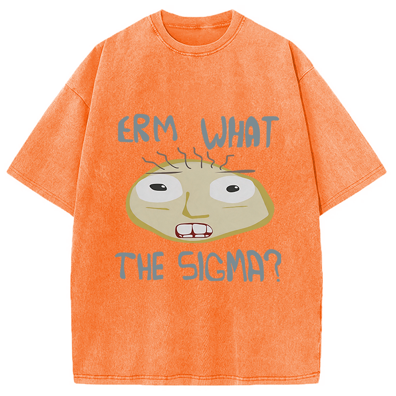 Modecanvas Erm What the Sigma Meme DTG Printing Washed T-Shirt
