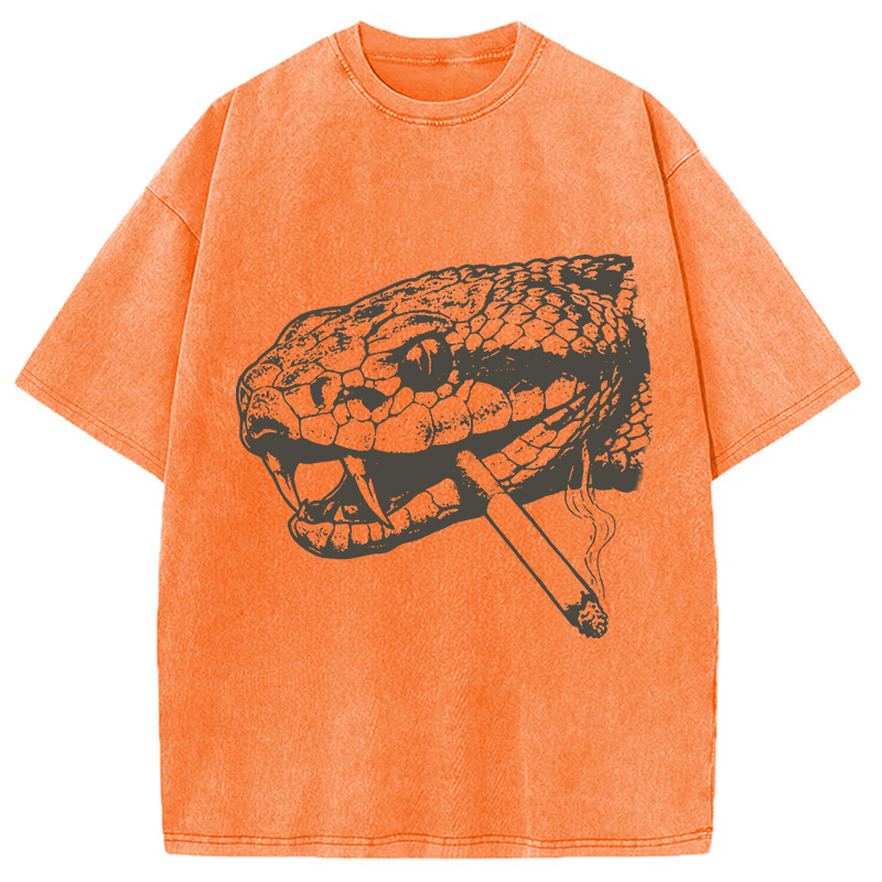 Modecanvas Snake Smoke Vintage DTG Printing Washed T-Shirt