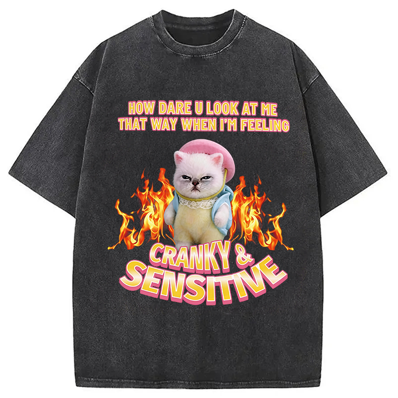 Modecanvas Cranky Kitty DTG Printing Washed T-Shirt
