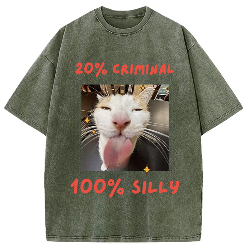 Modecanvas That Silly Cat Meme DTG Printing Washed T-Shirt