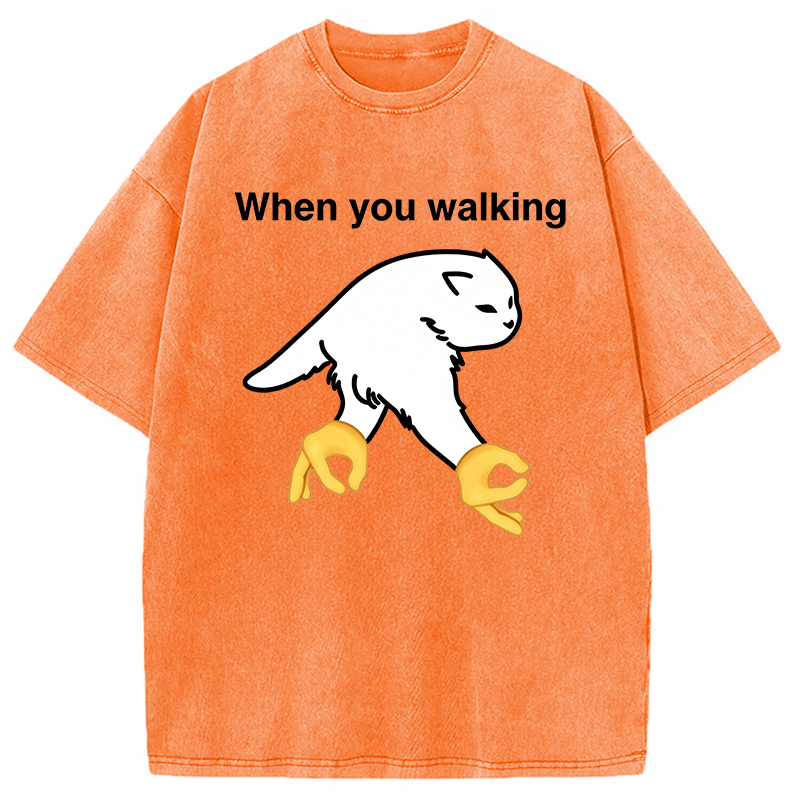 Modecanvas When You Walking Cursed Cat Meme DTG Printing Washed T-Shirt