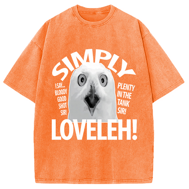 Modecanvas Simply Loveleh Owl DTG Printing Washed T-Shirt