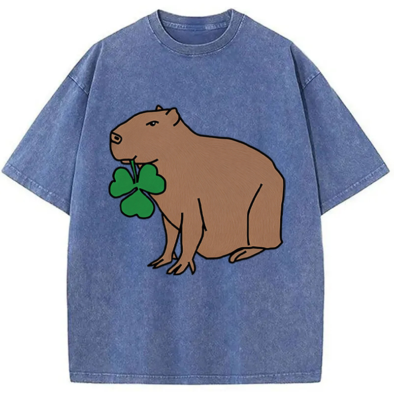 Modecanvas Cute Capybara with Shamrock DTG Printing Washed T-Shirt