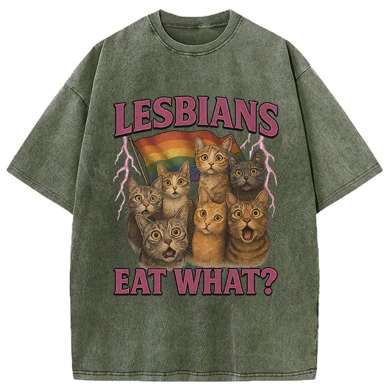 Modecanvas Lesbians Eat What?! Funny Lesbian Pride Meme DTG Printing Washed T-Shirt