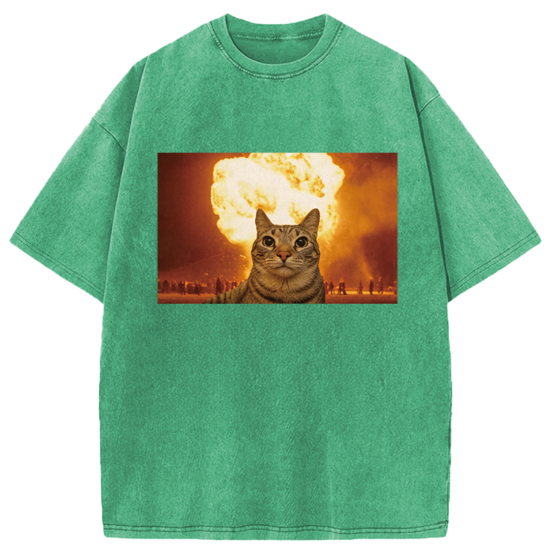 Modecanvas Cat Explosion Brain Rot DTG Printing Washed T-Shirt