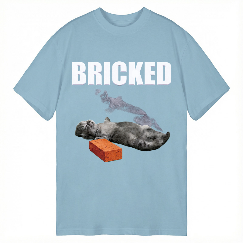 Modecanvas Bricked Funny Cat Knocked Out DTG Printing Classic T-Shirt-modecanvas