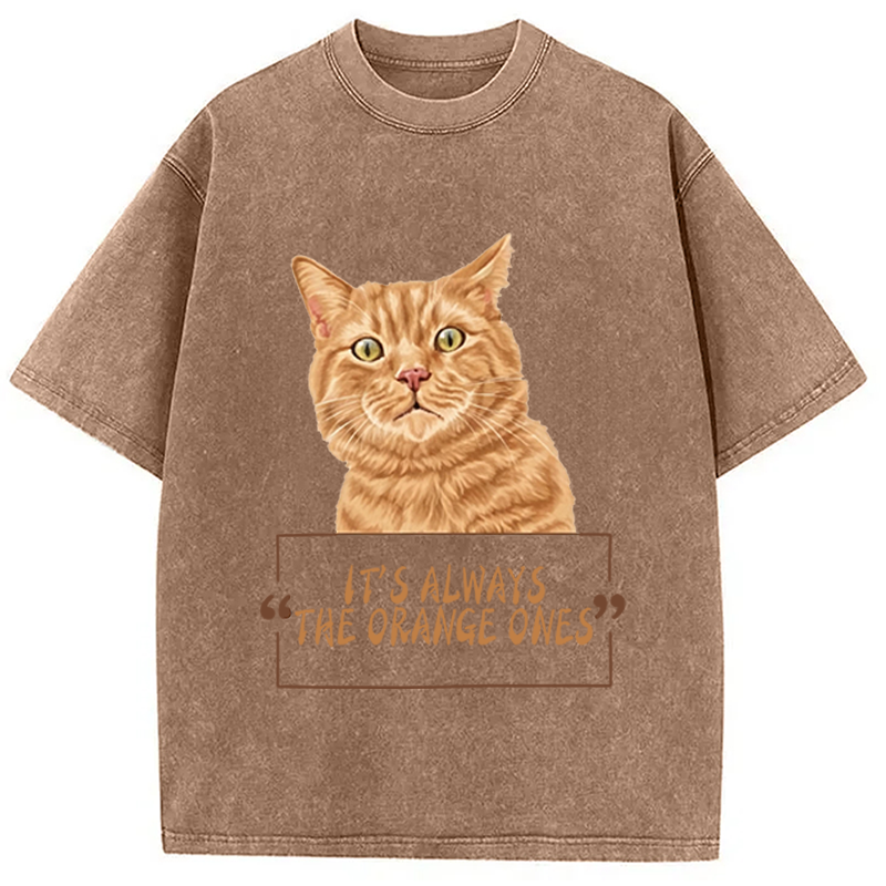 Modecanvas It Always Cat Meme DTG Printing Washed T-Shirt