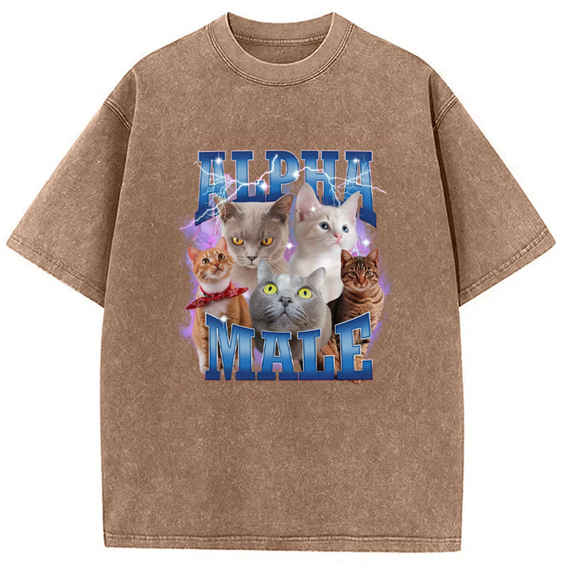 Modecanvas Blue Lightning Alpha Male Washed T-Shirt-modecanvas