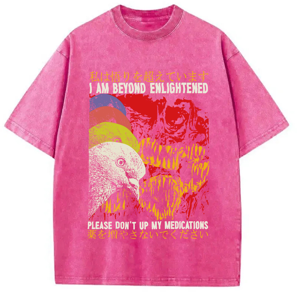 Modecanvas Beyond Enlightened Vintage Pigeon Washed T-Shirt