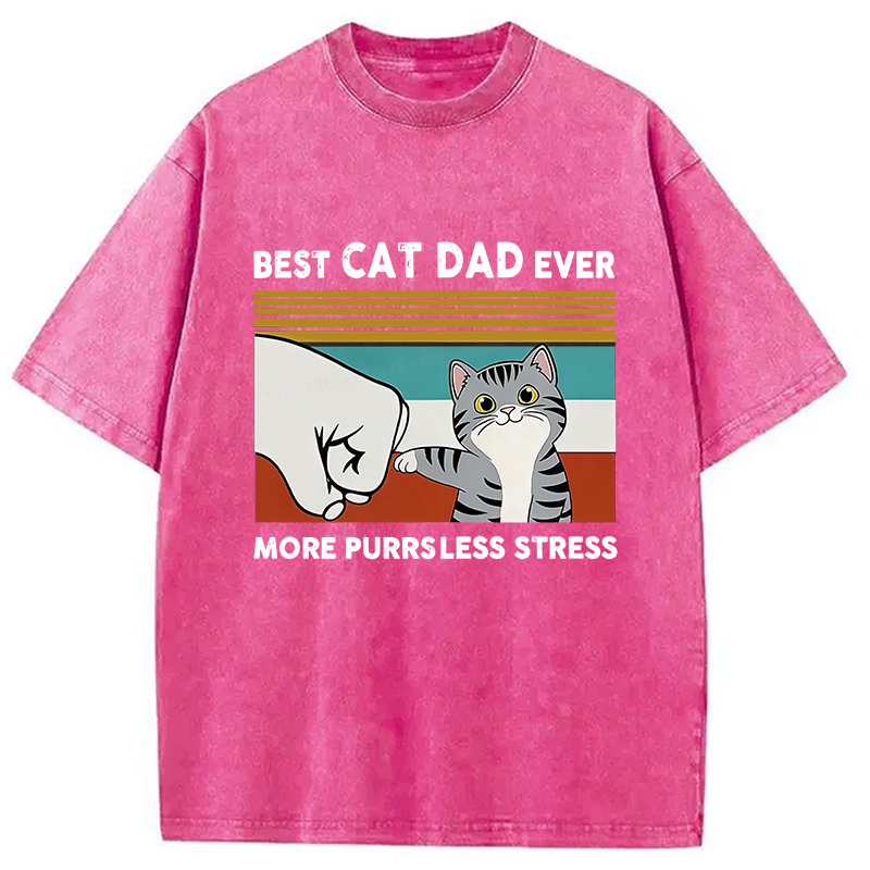 Modecanvas Funny Cat Dad Washed T-Shirt