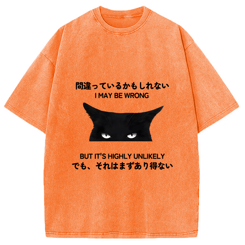 Modecanvas Cat Can Do No Wrong Washed T-Shirt