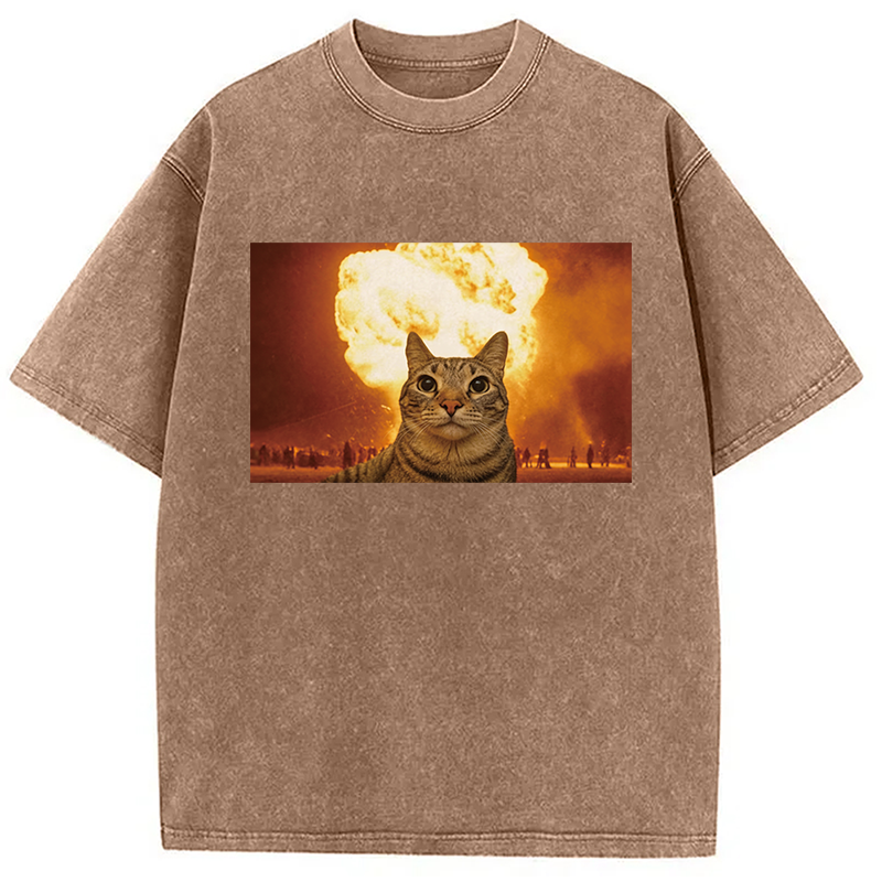 Modecanvas Cat Explosion Brain Rot DTG Printing Washed T-Shirt