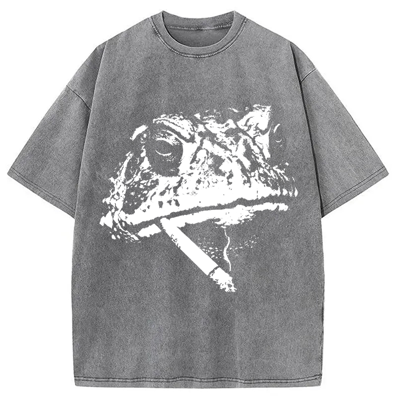 Modecanvas Frog Smoke Vintage DTG Printing Washed T-Shirt