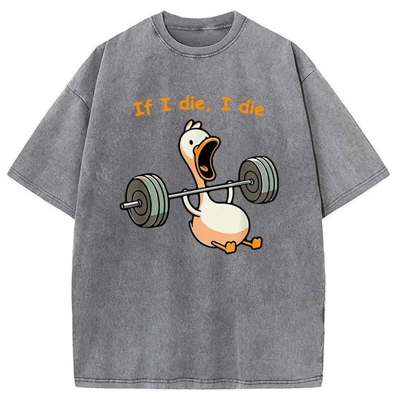 Modecanvas I Die Funny Meme Washed T-Shirt