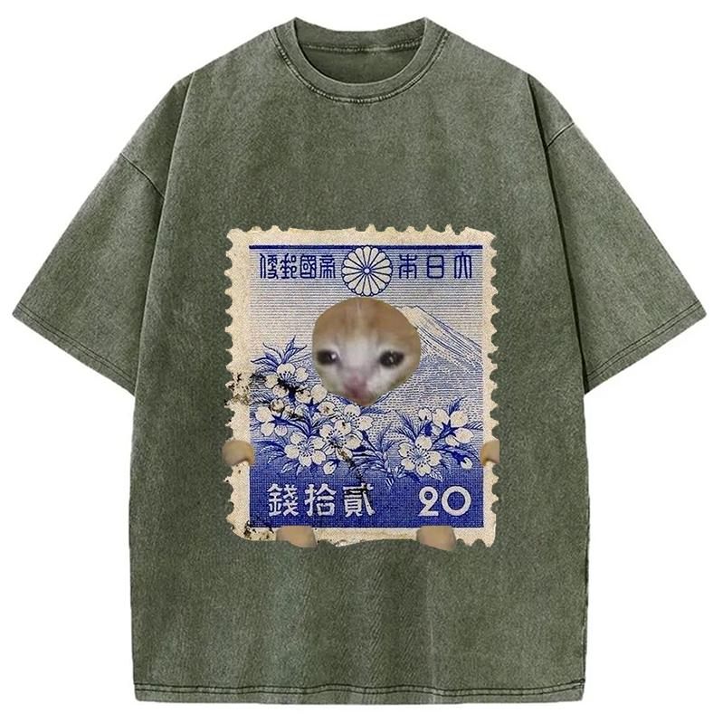 Modecanvas Ukiyo-e Cat Meme Washed T-Shirt