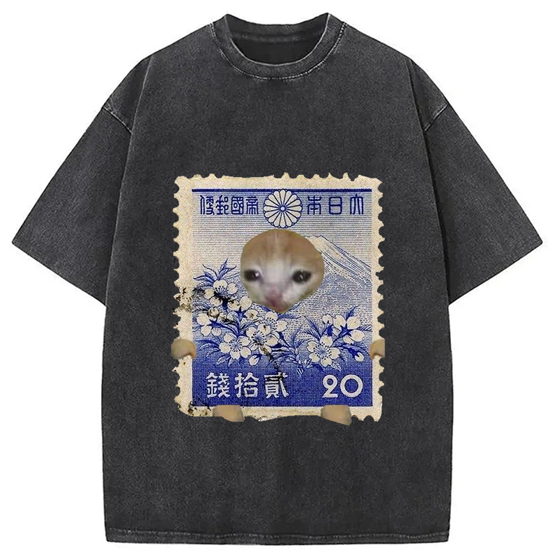 Modecanvas Ukiyo-e Cat Meme Washed T-Shirt