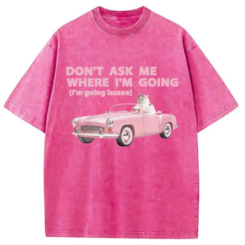 Modecanvas Im Going Insane Cat Meme DTG Printing Washed T-Shirt
