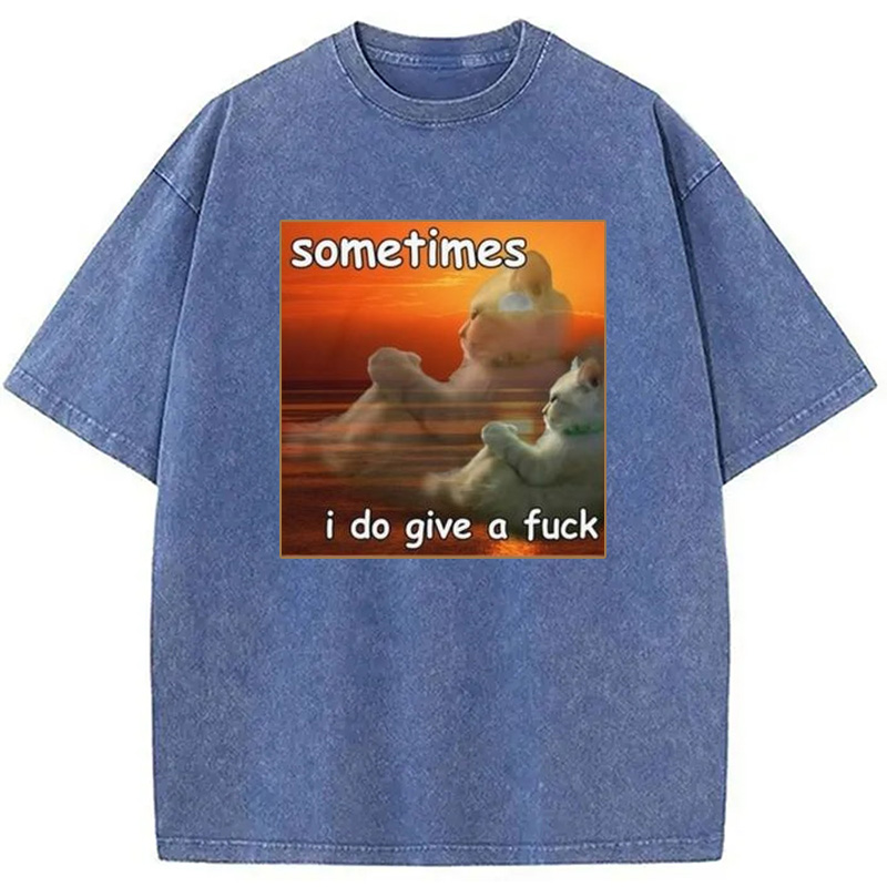 Modecanvas Sometimes I Do Give A Fxck Meme Washed T-Shirt
