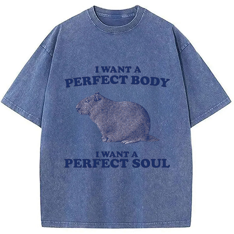 Modecanvas Capybara I Want A Perfect Washed T-Shirt