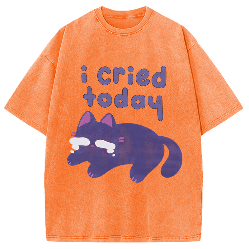 Modecanvas I Cried Today Cat DTG Printing Washed T-Shirt