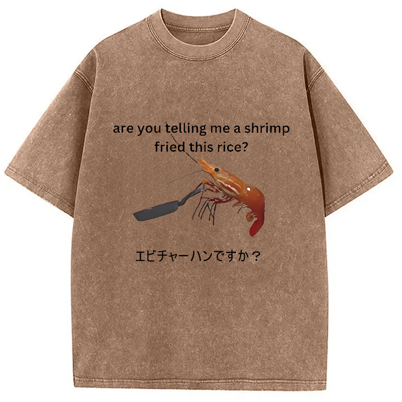 Modecanvas Are You Telling Me a Shrimp Fried This Rice Washed T-Shirt