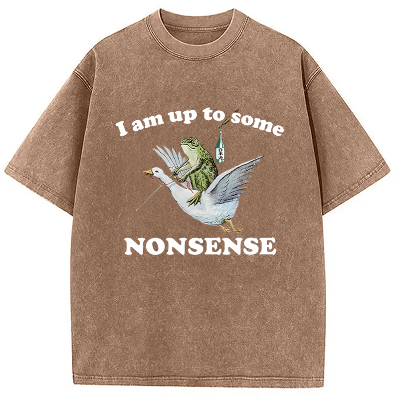 Modecanvas Frog Riding A Goose Washed T-Shirt