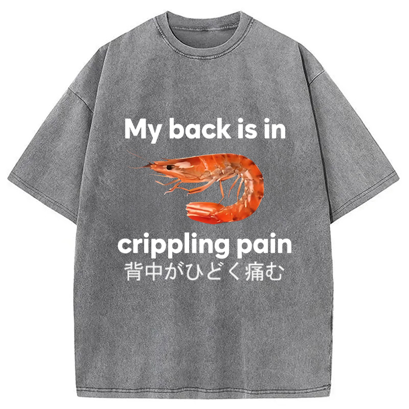Modecanvas My Back Is in Crippling Pain Washed T-Shirt-modecanvas