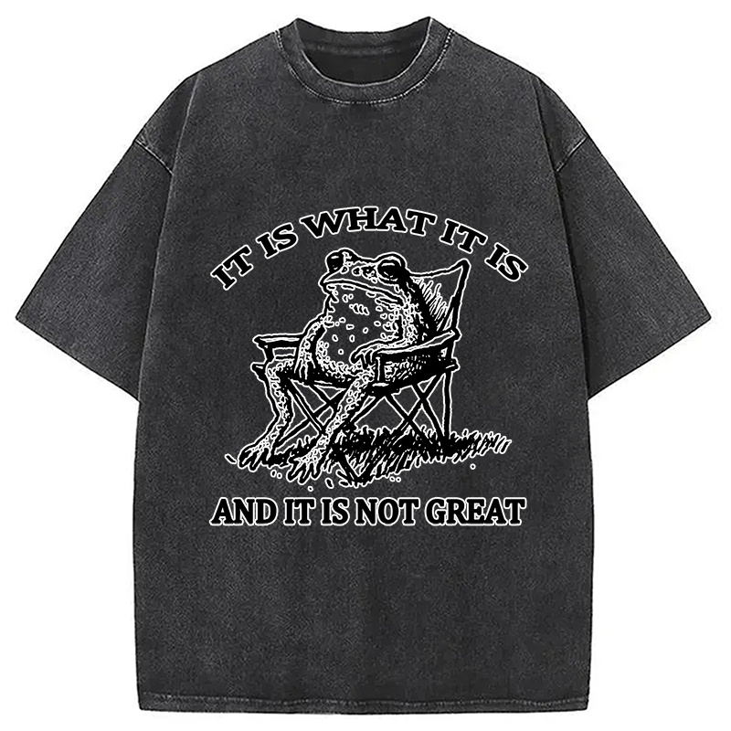 Modecanvas Resting Frog Funny Washed T-Shirt-modecanvas