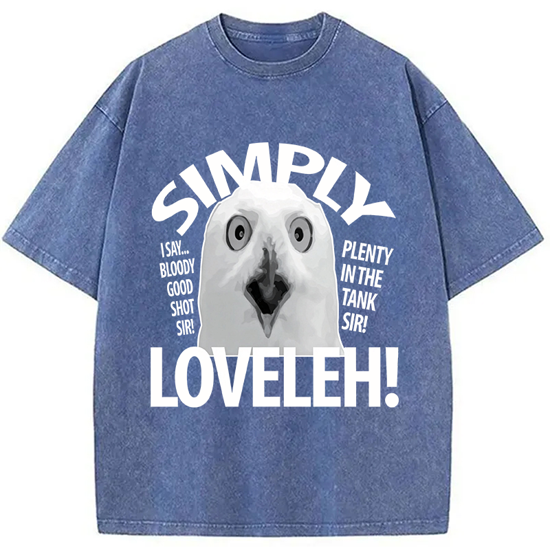 Modecanvas Simply Loveleh Owl DTG Printing Washed T-Shirt